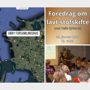 𝐔𝐛𝐛𝐲, 29. januar 2025:  Foredrag om lavt stofskifte